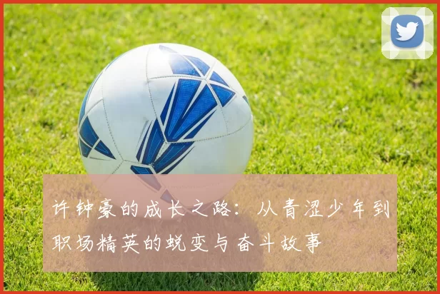 许钟豪的成长之路：从青涩少年到职场精英的蜕变与奋斗故事