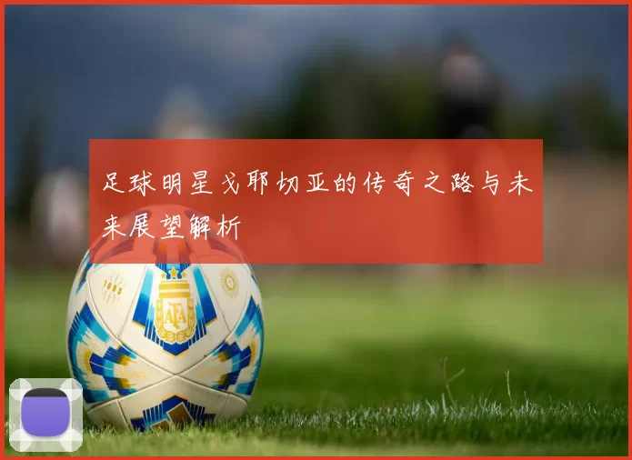 足球明星戈耶切亚的传奇之路与未来展望解析