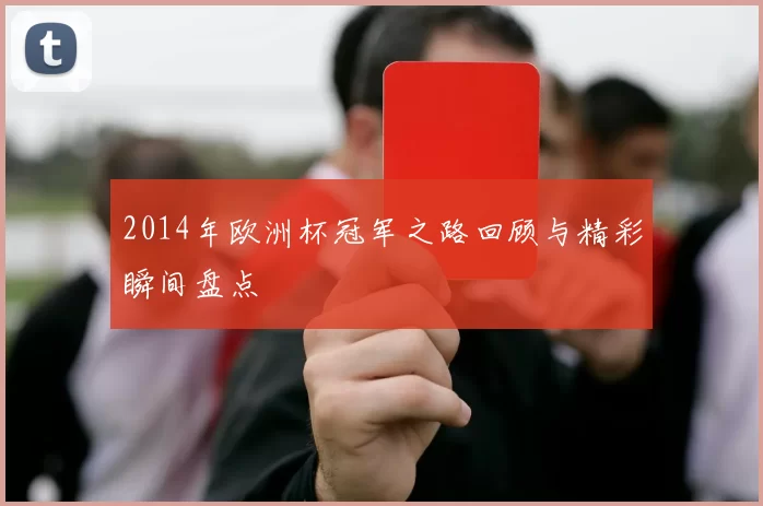 2014年欧洲杯冠军之路回顾与精彩瞬间盘点