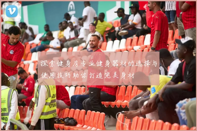 探索健身房专业健身器材的选择与使用技巧助你打造完美身材